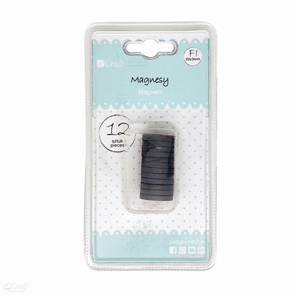 Magnesy DpCraft - průměr 20 mm x 3 mm, 12 ks
